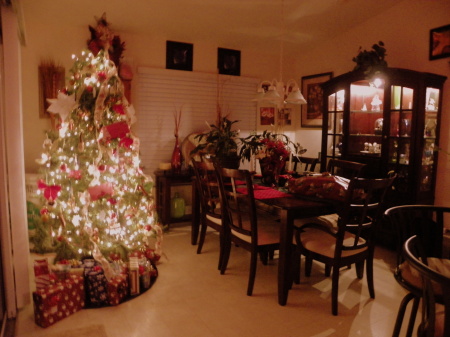 2011 CHRISTMAS AT OUR HOME