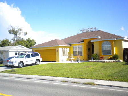 Painting the house