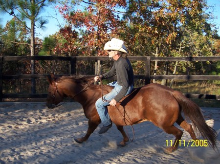 Equus Heals Theraputic Riding Program
