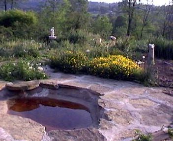 Front Yard Pond