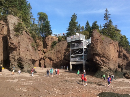 Hopewell Rocks 2016 summer LOWTIDE