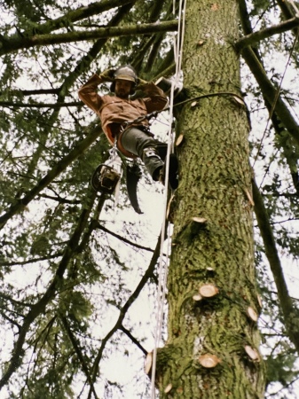 Rope work and high-rigging 