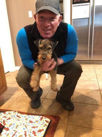 Roz - Welsh Terrier Pup -2020