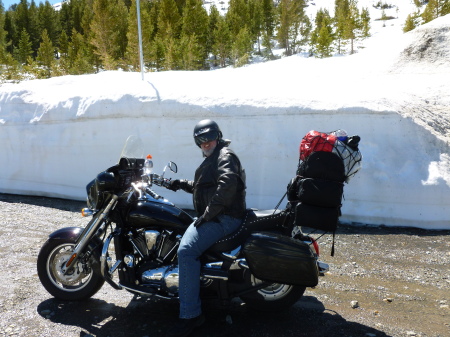 Tioga Pass, June 2011