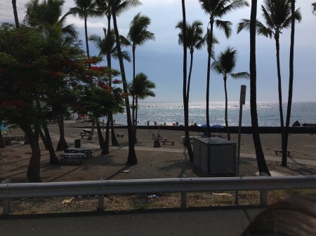 Beautiful Beach Park in the Big Island