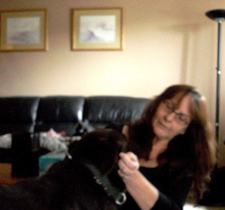 Me and My beautiful choc lab Sara  Nov 2012.