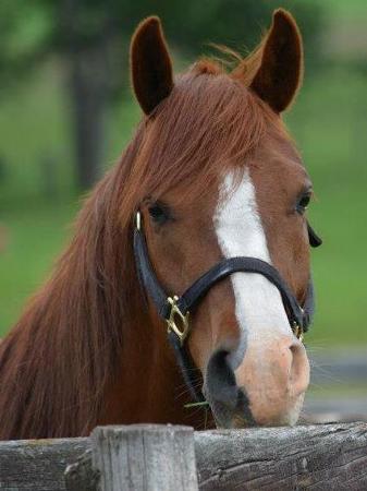 Carmen Loewen's Classmates® Profile Photo