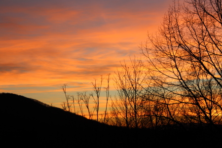 Lookin Out My Back Door