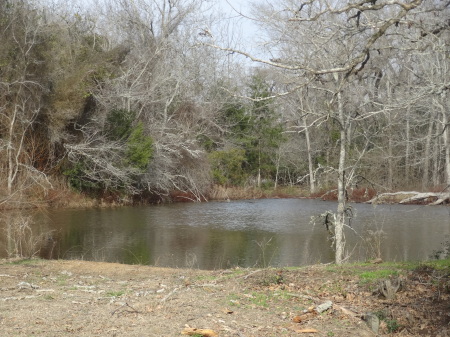 my lake (3 acre livestock pond)