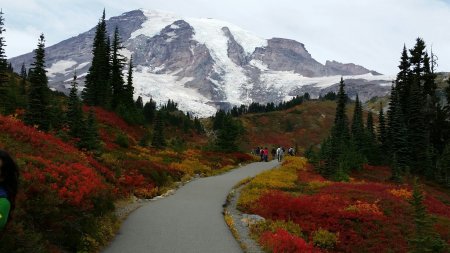 Mt Rainier