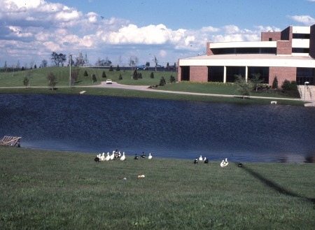 Michael Jordan's album, Campus 1978