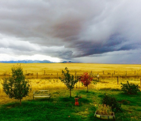 Early Fall storm 2015
