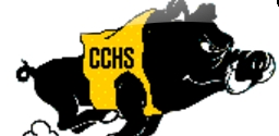 Coquitt Counity High School Logo Photo Album
