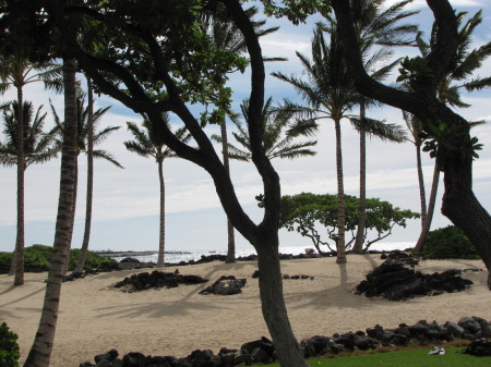 BEAUTIFUL BEACH IN HAWAII
