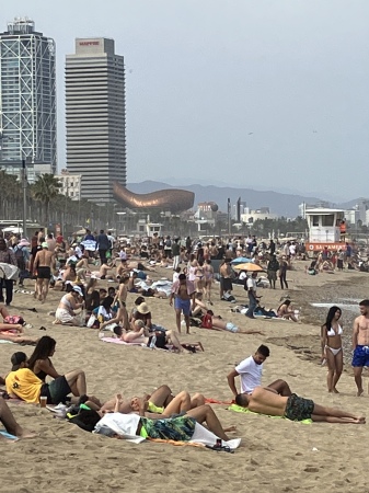 The beach at Barcelona mid-June, 2023