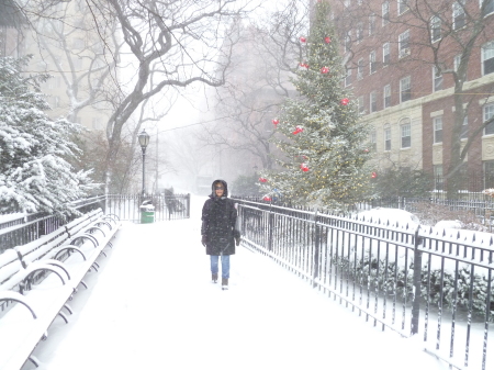 Winter in Brooklyn Heights