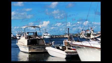 Henry Fuller's album, key west