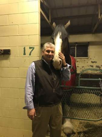 Budweiser Clydesdale and me...