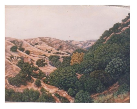 View From Steep Canyon Road