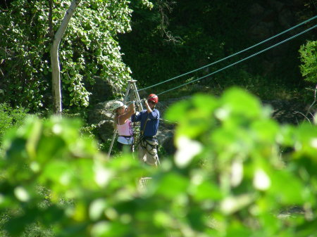 Zip Line