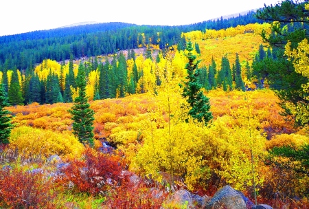 Fall colors just a few miles from Denver