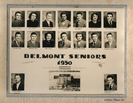 Delmont High School Logo Photo Album