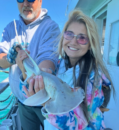 I caught a bonnet head hammer shark in Florida