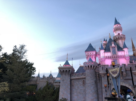 Disney Castle 2018