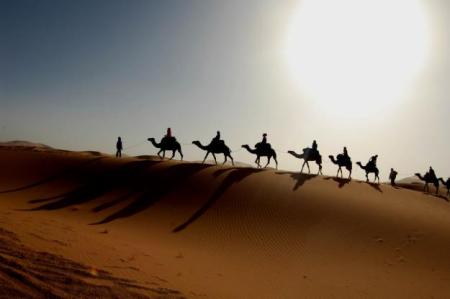abu dhabi desert safari rates