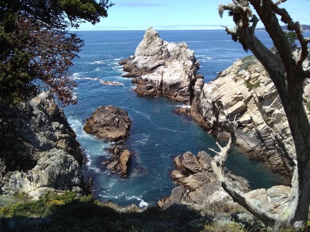 Point Lobos, June 2021