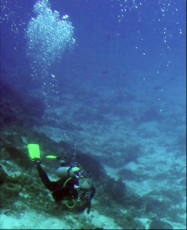 A favorite pastime: scuba diving, at 80 ft.