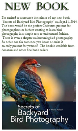 Chris Hansen's album, My New Book Secrest of Backyard bird Photograph