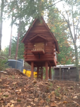 The chickens should be happy with this coop I built them.