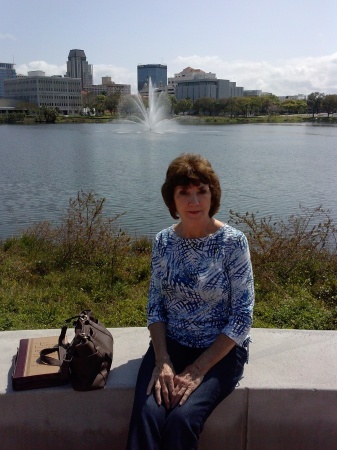 Mirror Lake in St Petersburgh, FL