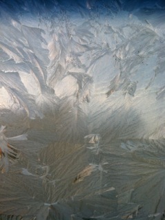 winter 2014 frost