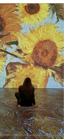 Denver’s Van Gogh Exhibit