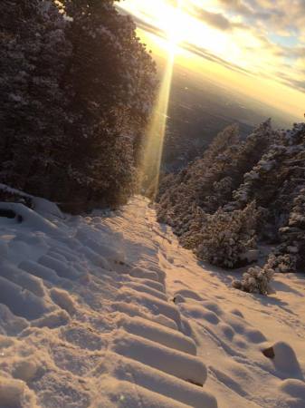 The Incline Colorado Springs