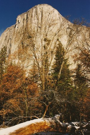 Yosemite in December