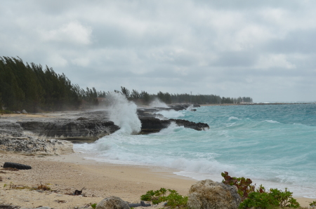 Weston Wishart's album, Key West & Bahamas