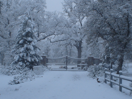 Snow at Huckleberry Farm in Cottonwood  CA