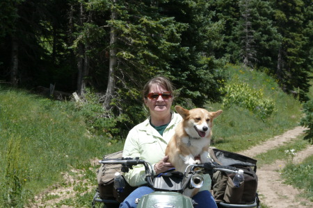 4 wheeling in Colorado with my Corgi