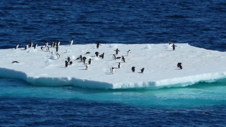 Off the Antarctic Peninsula