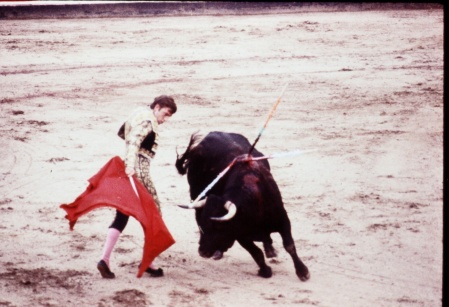 bullfight in Spain