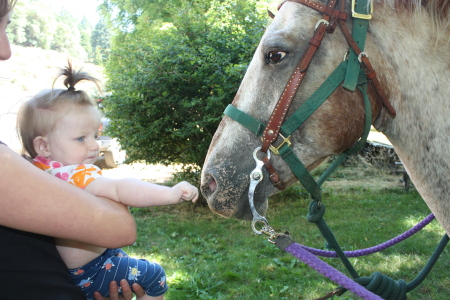 Grand daughter, Journey, pets her Moms horse.