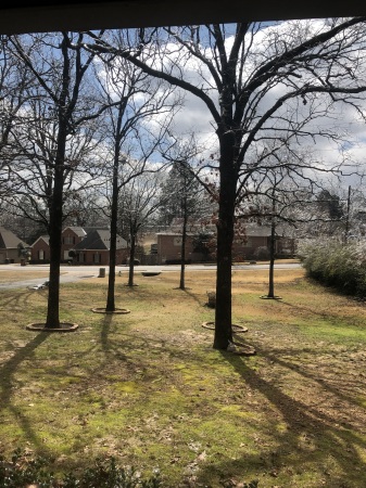 My front yard before the 3-31-2023 tornado