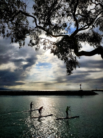 Dana Point Harbor 