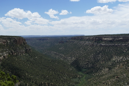 Canyon of Ancients