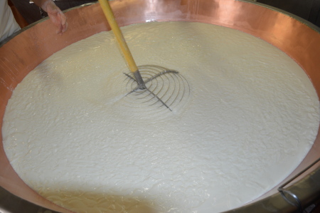 Making Parmigiano Reggiano in Vats Parma Italy