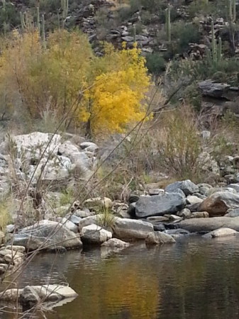 Calvin Lee's album, Sabino Canyon