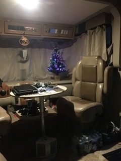 My RV Christmas Tree